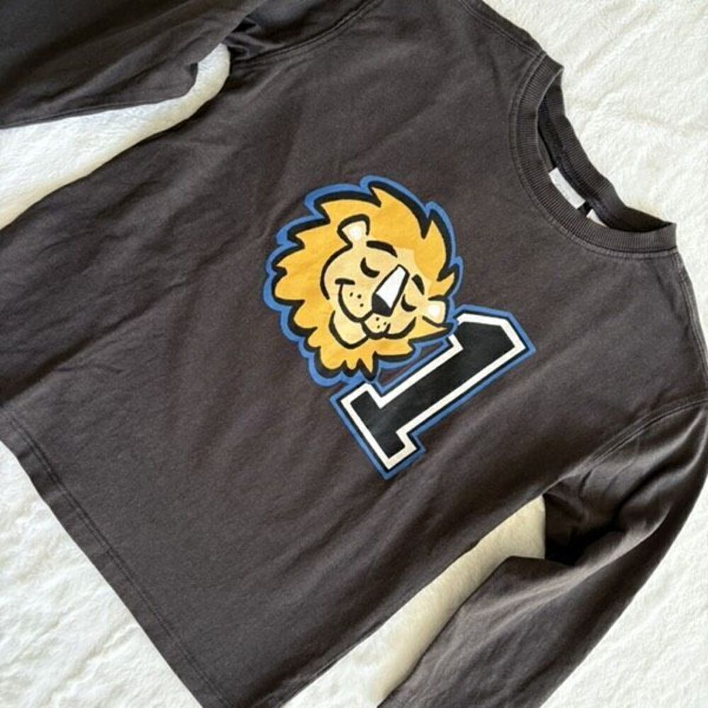 Zara Long Sleeve Lion Shirt Size 4-5 Years